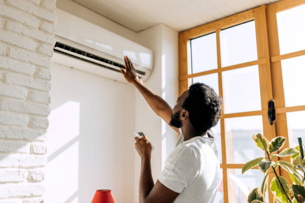 Best HVAC air duct cleaning  in Hampton Manor, NY